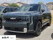  Kia Telluride Hybrid