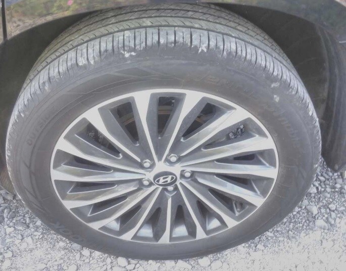 2024 Hyundai Palisade Calligraphy photo 2
