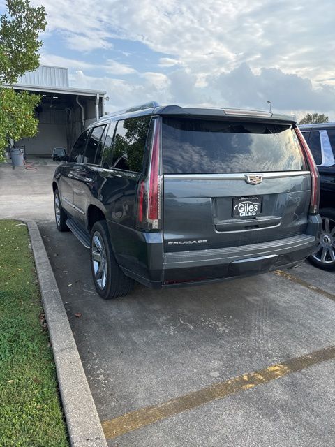 2019 Cadillac Escalade Premium Luxury photo 4