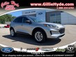  Ford Escape Hybrid