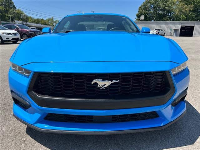 Used 2024 Ford Mustang EcoBoost with VIN 1FA6P8TH7R5106666 for sale in Glasgow, KY