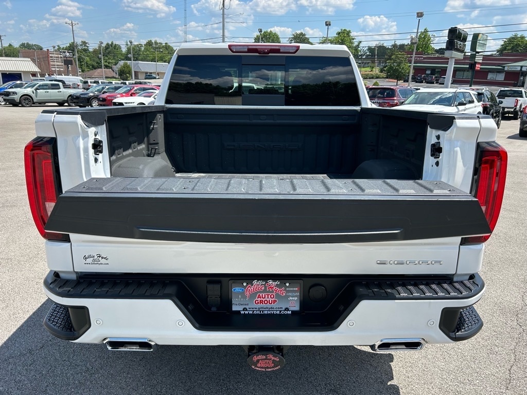 2024 GMC Sierra 1500 Denali Denali - Photo 9
