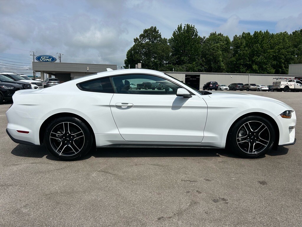 2023 Ford Mustang EcoBoost Premium photo 3