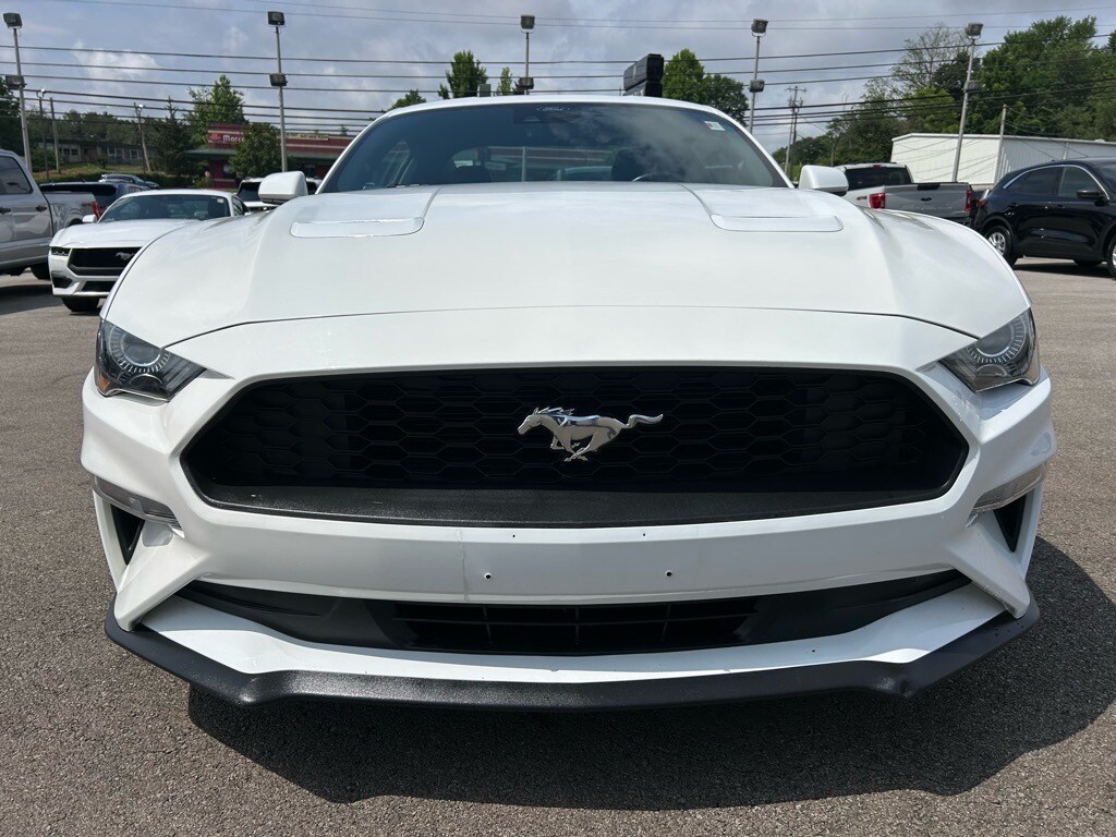 2023 Ford Mustang EcoBoost Premium photo 2