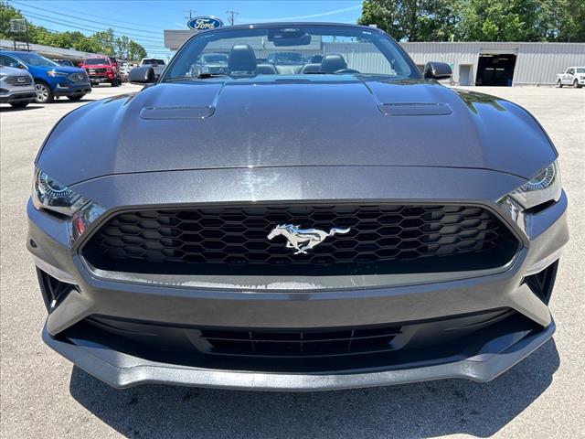 Used 2023 Ford Mustang EcoBoost Premium with VIN 1FATP8UH6P5104079 for sale in Glasgow, KY