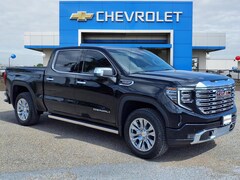 2025 GMC Sierra 1500 Denali Truck