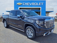 2025 GMC Sierra 1500 Denali Truck