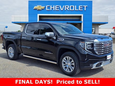 2025 GMC Sierra 1500 Denali Truck