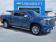 2025 GMC Sierra 1500 Denali Truck