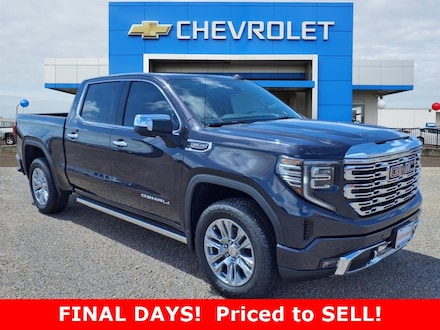 2025 GMC Sierra 1500 Denali Truck