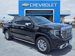 2025 GMC Sierra 1500 Denali Truck