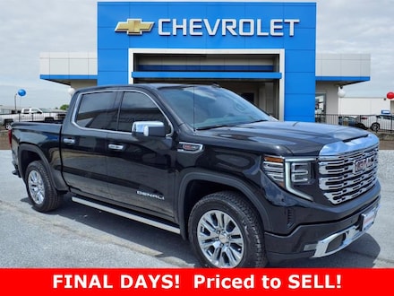 2025 GMC Sierra 1500 Denali Truck