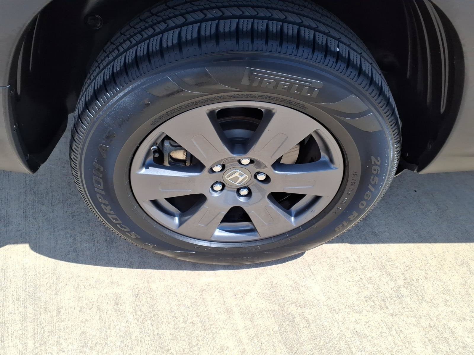 Photo 11