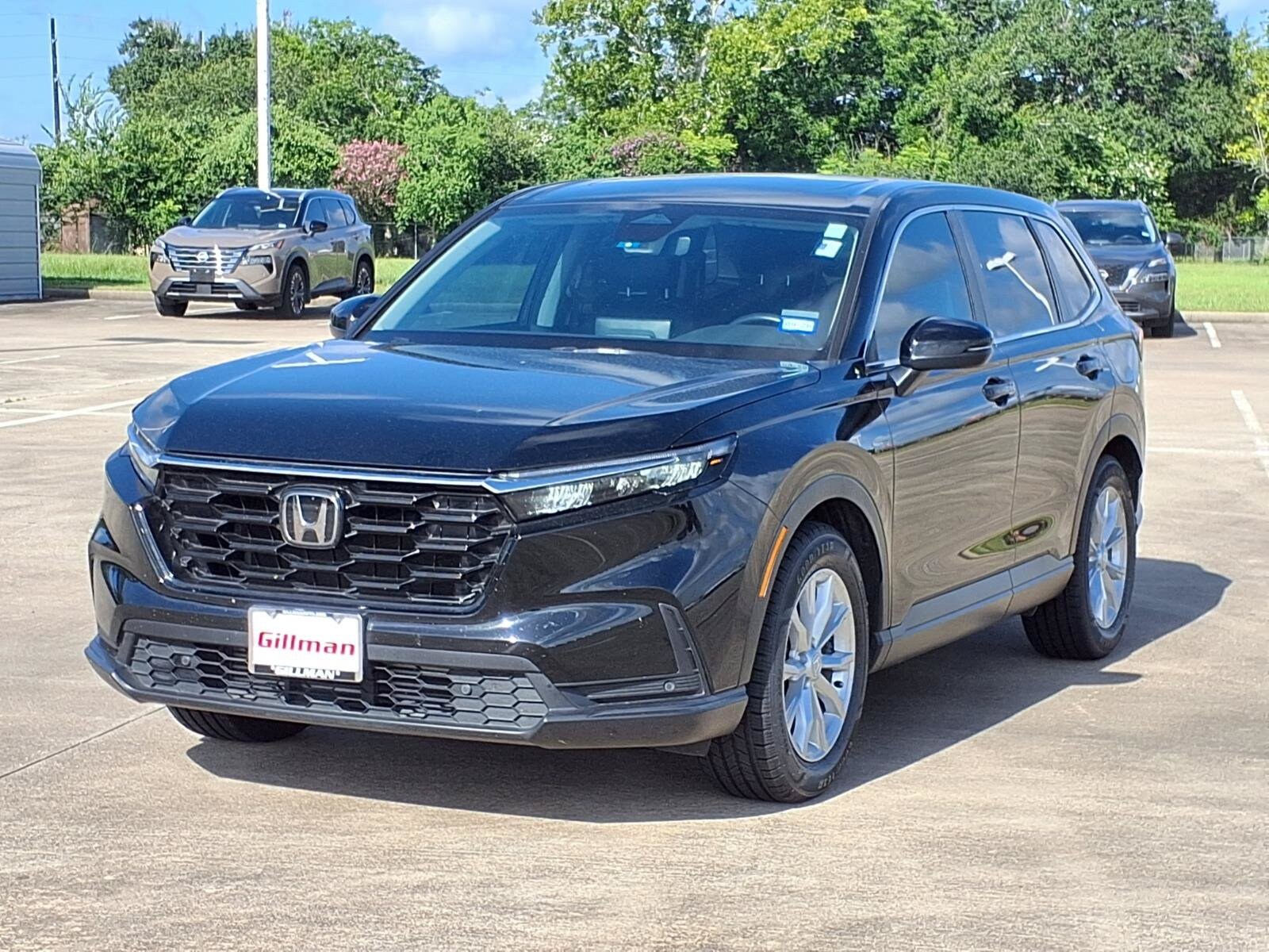 Photo 5
