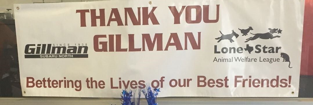 gillman charity 3.jpg