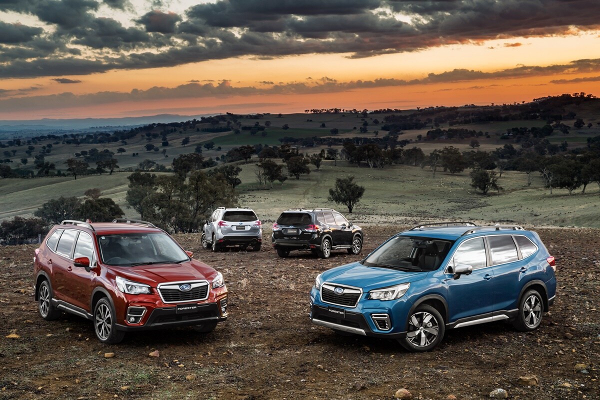 SUV Buying Guide Gillman Subaru Southwest Houston, TX