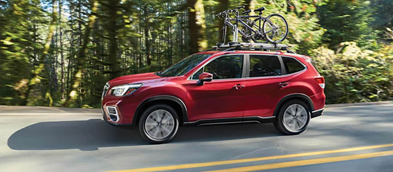 subaru forester 2020 bike rack