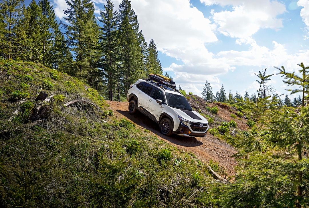 2026-Subaru%20Forester%20Wilderness-downhill%20exterior.png