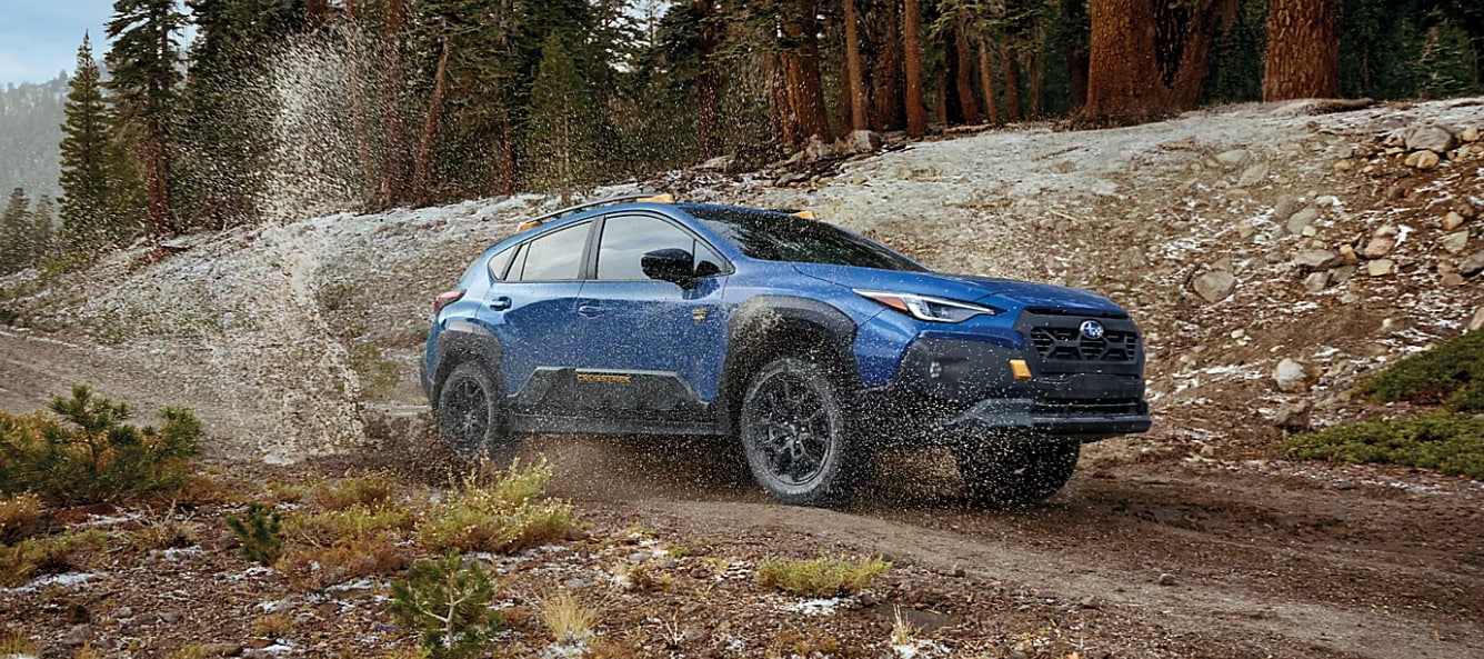 2025 Subaru Crosstrek Wilderness