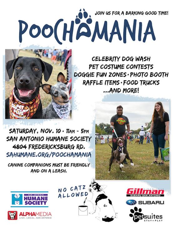 poochamania.JPG