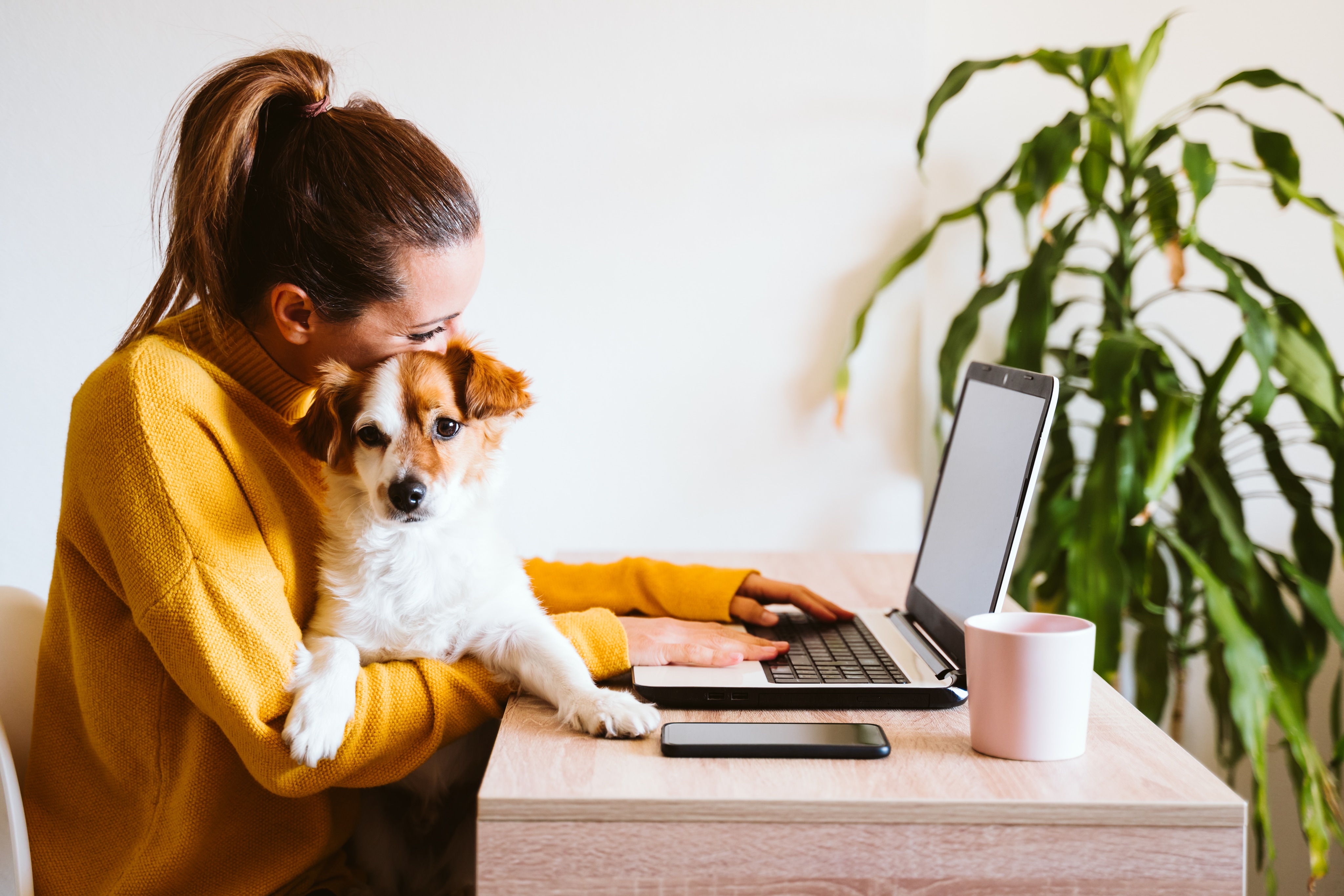 Girl holding dog while on laptop filling out Trade-In Estimator Form