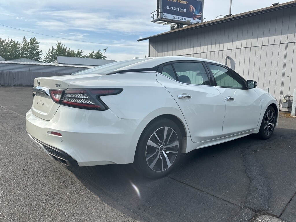 2023 Nissan Maxima SV photo 4