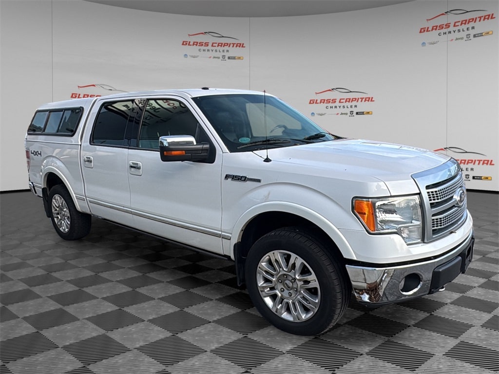 2010 Ford F-150 Platinum