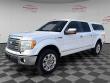 2010 Ford F-150 Platinum Truck