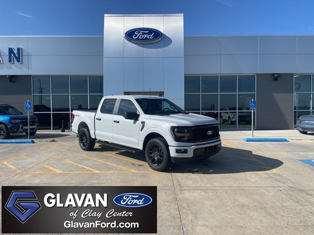 2025 Ford F-150 STX's photo