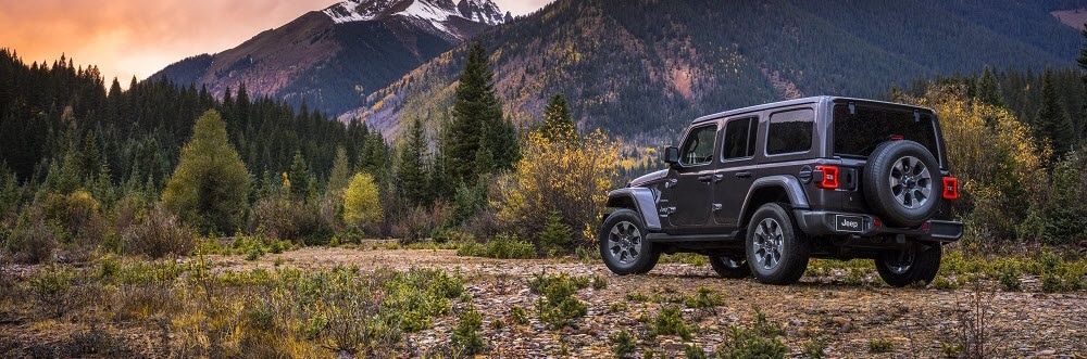 Jeep wrangler weight