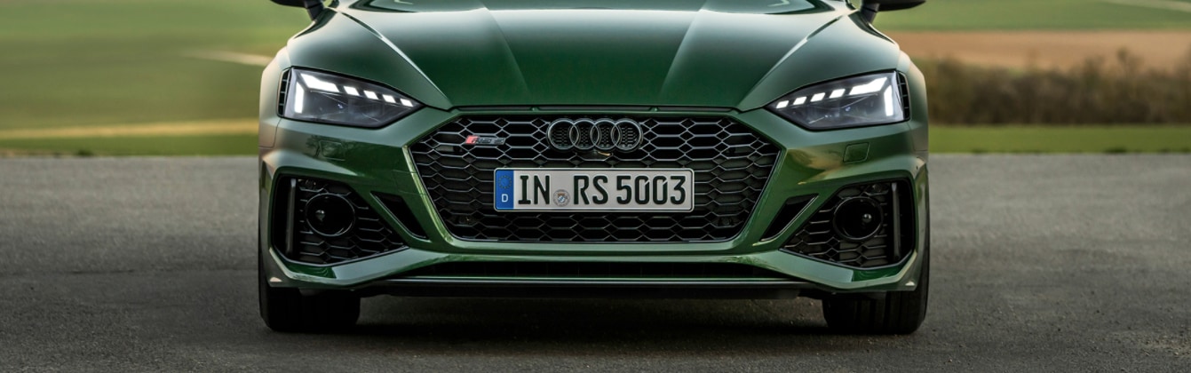 1341 × 420