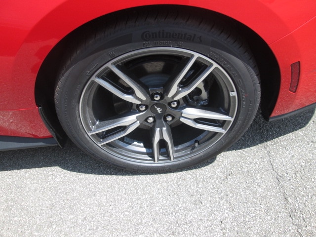 2025 Ford Mustang EcoBoost Premium Fastback - Photo 11