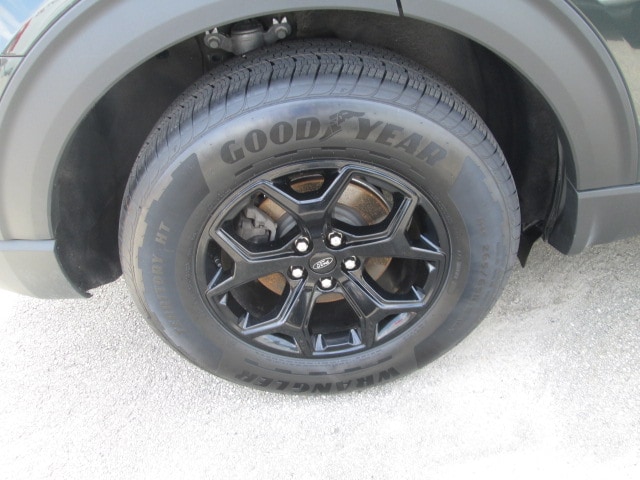 Photo 11