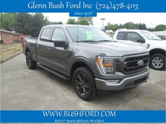 2022 Ford F-150 Truck SuperCrew Cab