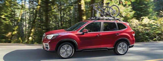 Subaru Forester Vs 19 Mazda Cx 5 Phil Long Glenwood Springs Subaru