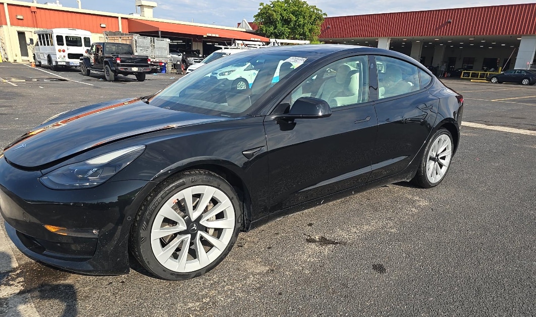 2021 Tesla Model 3's photo