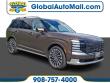 Used 2026 Hyundai Palisade Calligraphy SUV