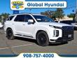 New 2025 Hyundai Palisade Calligraphy Night Edition AWD SUV