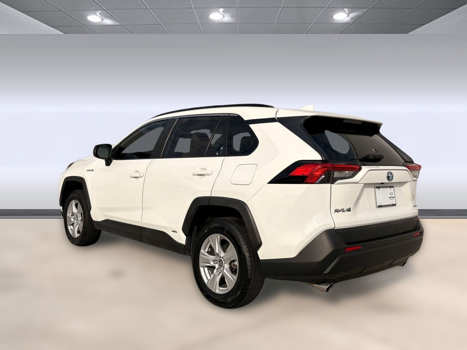 2019 Toyota RAV4 Hybrid LE photo 2