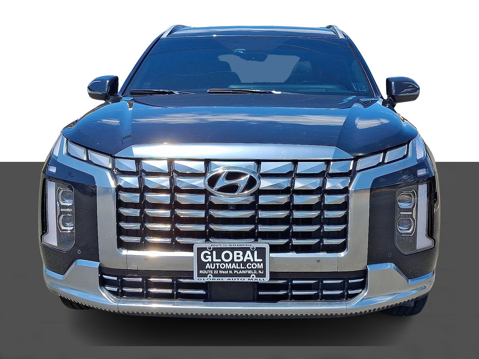 2024 Hyundai Palisade Calligraphy - Photo 2