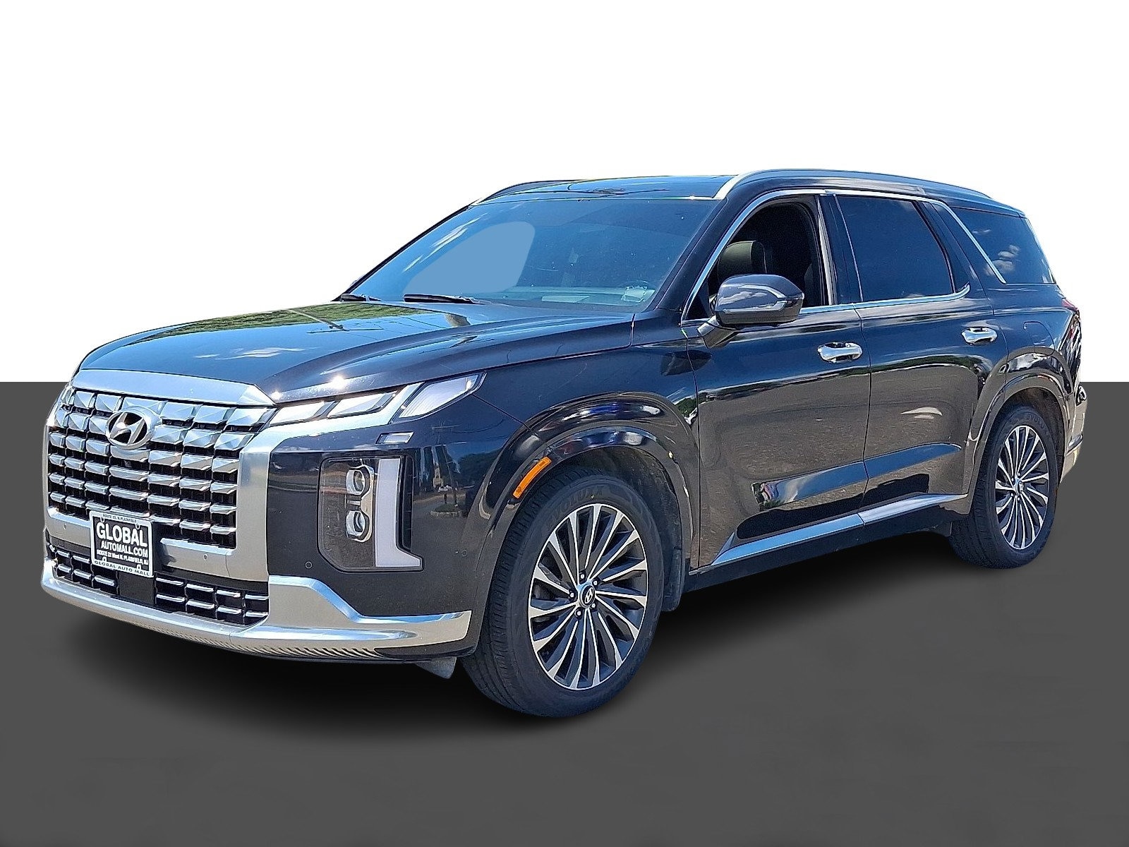 2024 Hyundai Palisade Calligraphy - Photo 3