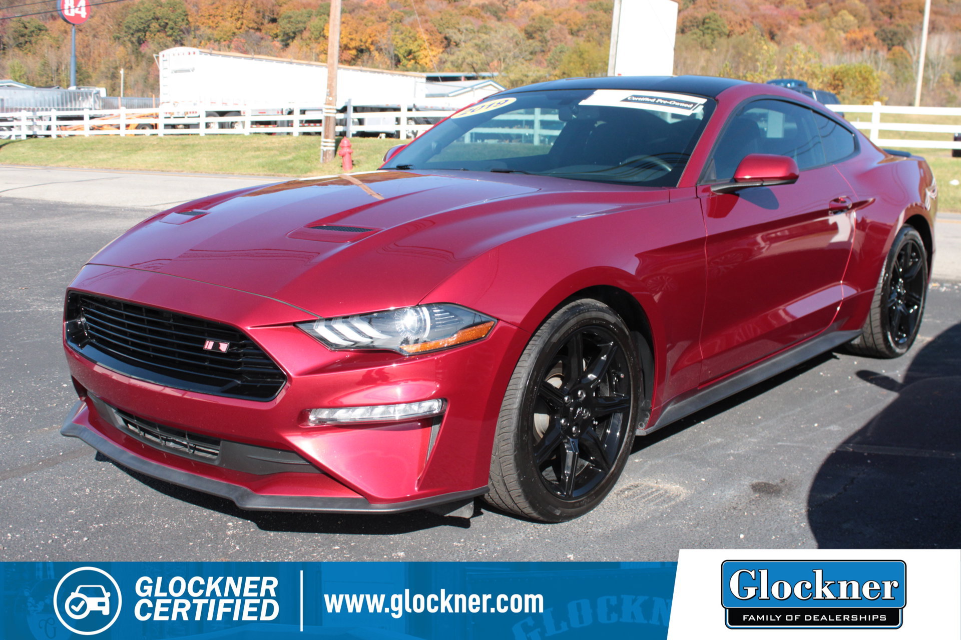  Ford Mustang
