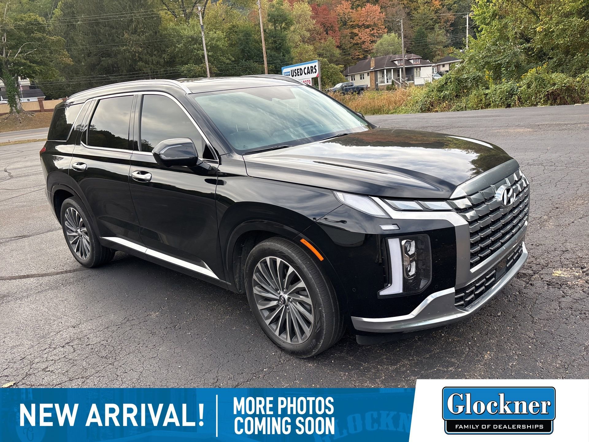 2024 Hyundai Palisade Calligraphy photo 2