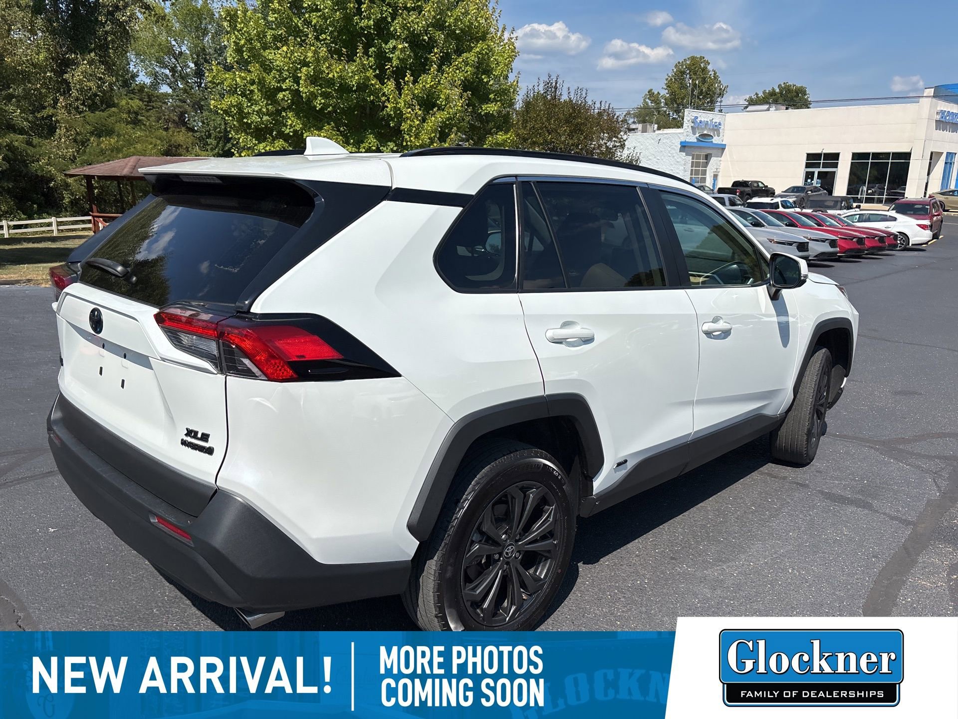 2023 Toyota RAV4 Hybrid XLE Premium photo 3