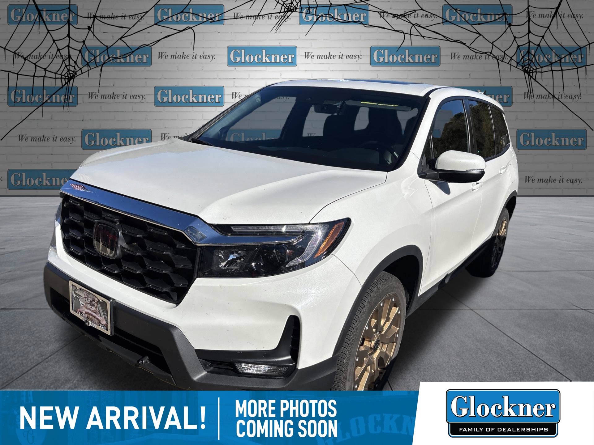  Honda Passport
