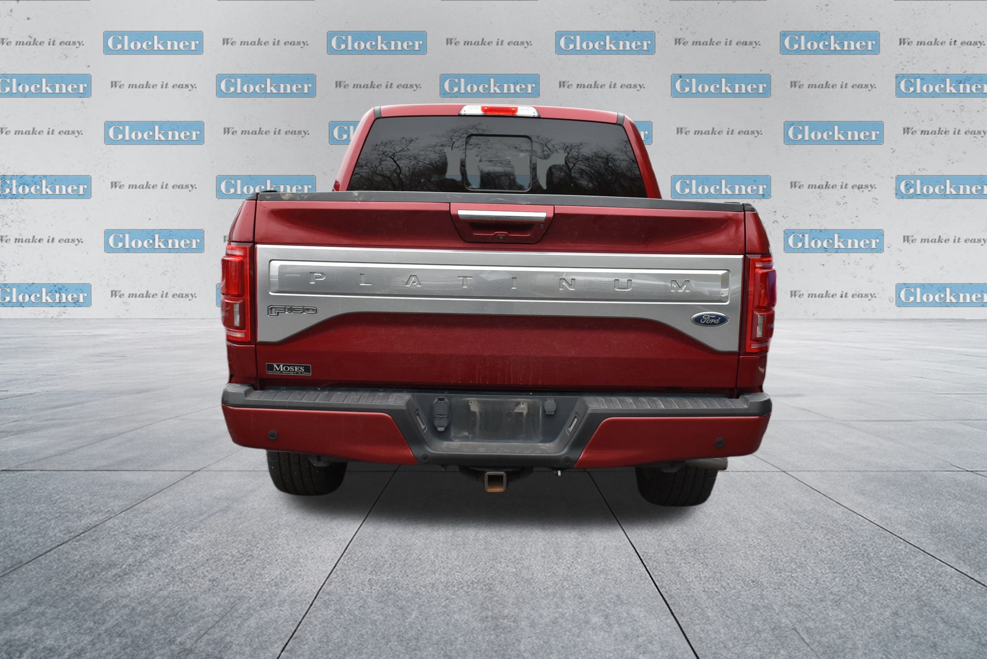 2015 Ford F-150 Platinum photo 4
