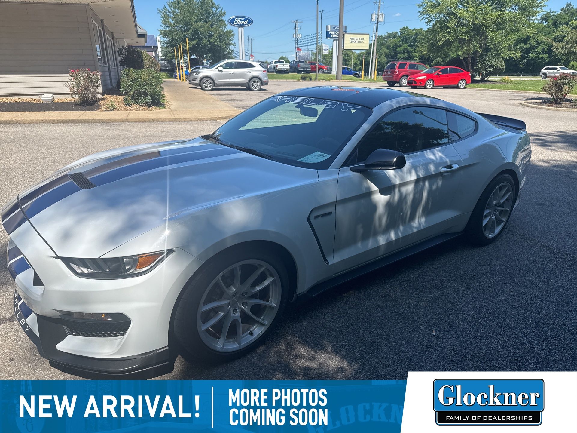 2018 Ford Mustang Shelby GT350's photo