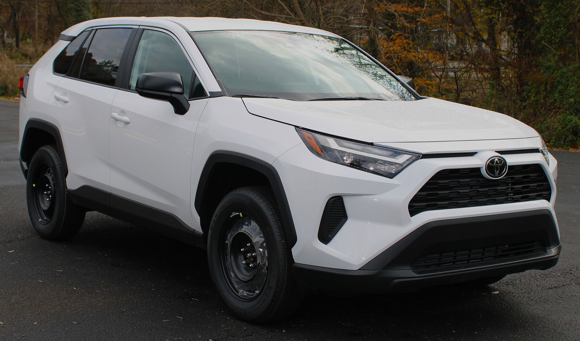 2025 Toyota RAV4 LE photo 2