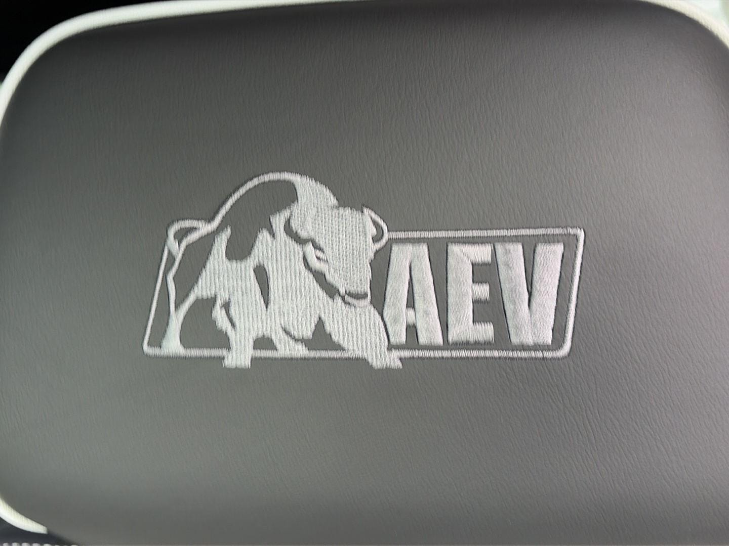 2026 GMC Sierra 1500 AT4X - Photo 24