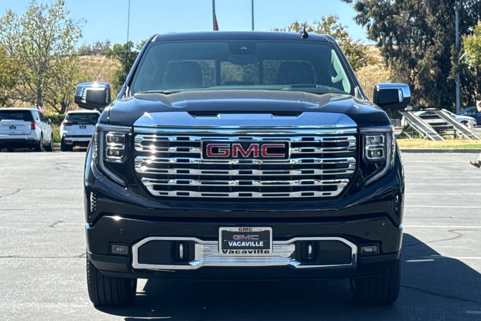 2026 GMC Sierra 1500 Denali - Photo 10